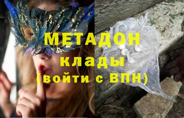 шишки Новодвинск