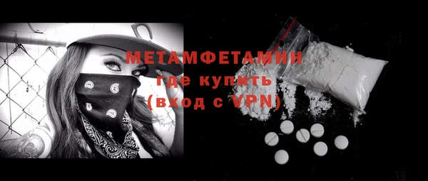 шишки Новодвинск