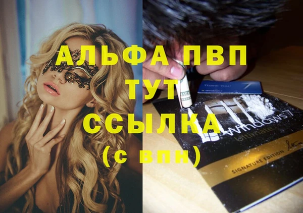 шишки Новодвинск