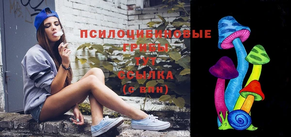 марки lsd Няндома
