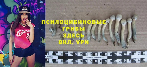 прущая мука Весьегонск