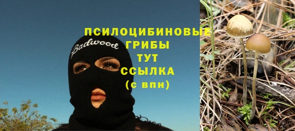 таблы Нягань