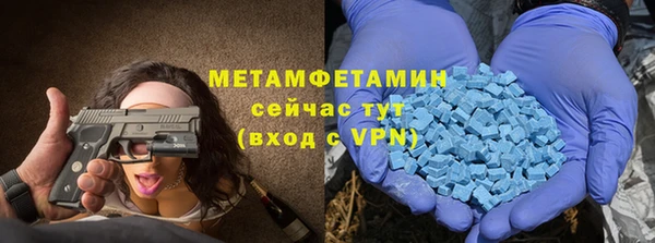 шишки Новодвинск