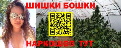 apvp Канаш
