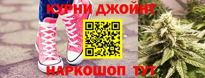 apvp Канаш