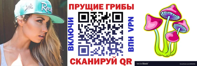 Галлюциногенные грибы мухоморы  цены   кракен ONION  Новотроицк 