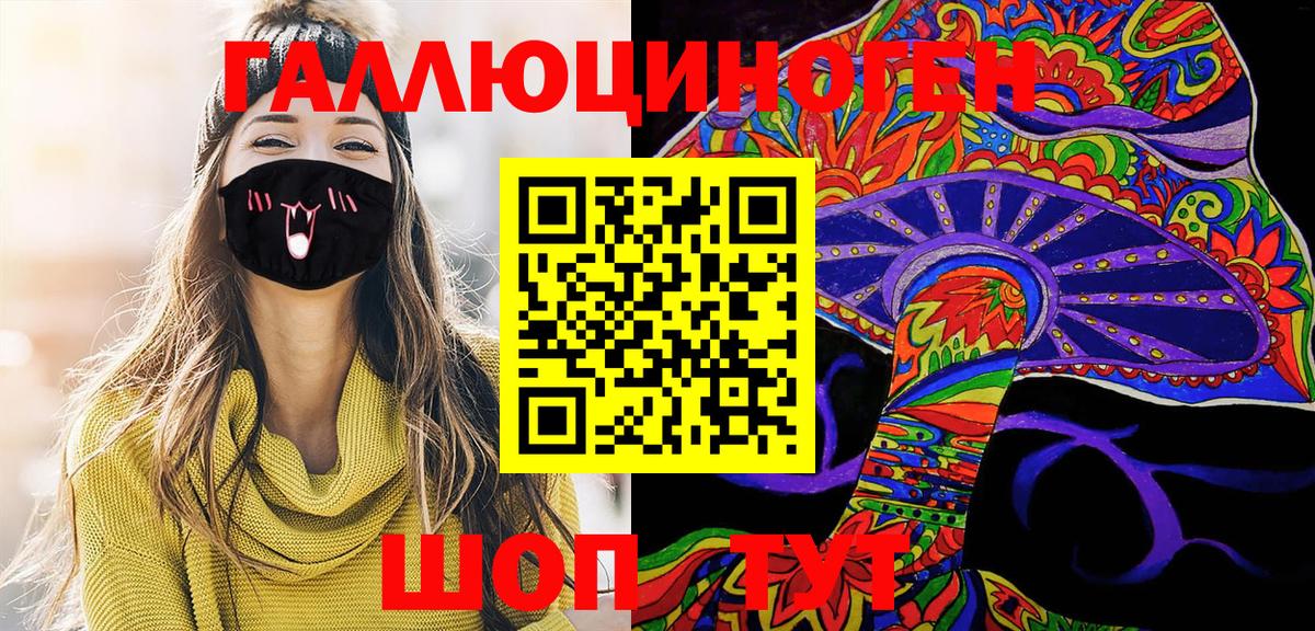 Псилоцибиновые грибы Psilocybine cubensis  Новотроицк  Галлюциногенные грибы Psilocybe 