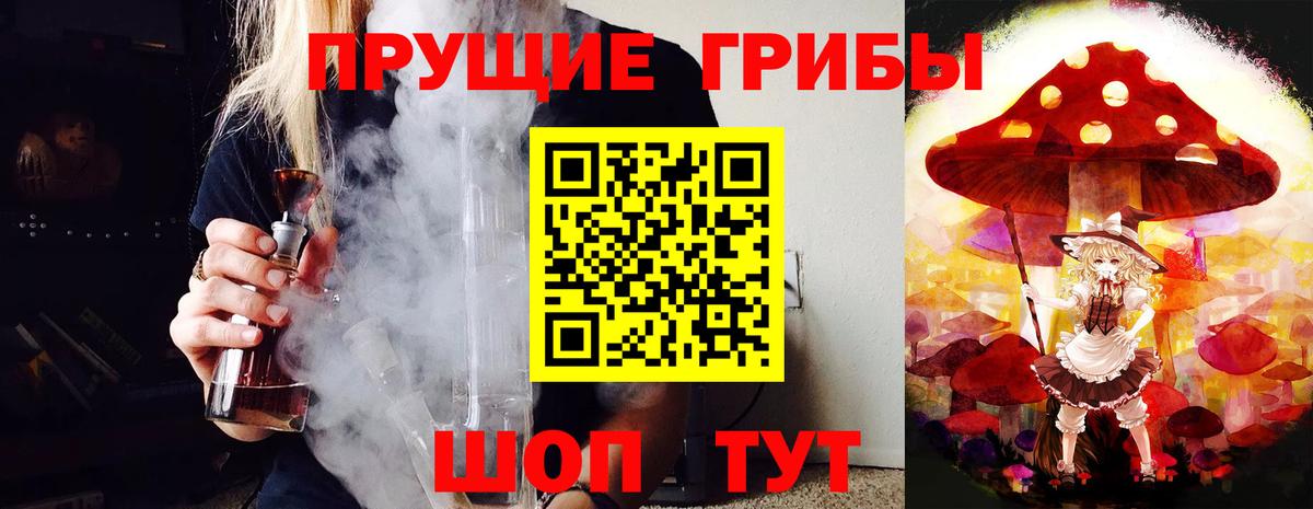 Псилоцибиновые грибы Psilocybine cubensis  Галлюциногенные грибы мицелий  Вход с VPN  где купить наркоту  Новотроицк 