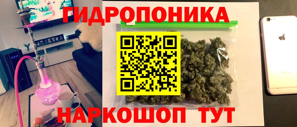 Бошки марихуана Amnesia  Новотроицк  Бошки марихуана Ganja  Бошки марихуана план 